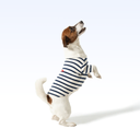SMYC_PARISIAN PUP SHIRT